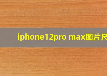 iphone12pro max图片尺寸